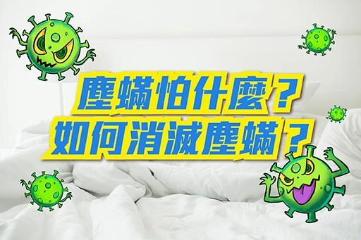 塵蟎怕什麼，如何消滅塵蟎？