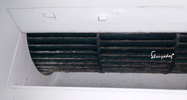 冷氣清洗後多久能開？其實正確做法是開啟30分鐘送風模式，讓內部零件與水氣完全乾燥，避免殘留異味與損害機體，冷氣清洗後多久能開？這個問題看似簡單，但卻能有效延長冷氣壽命。