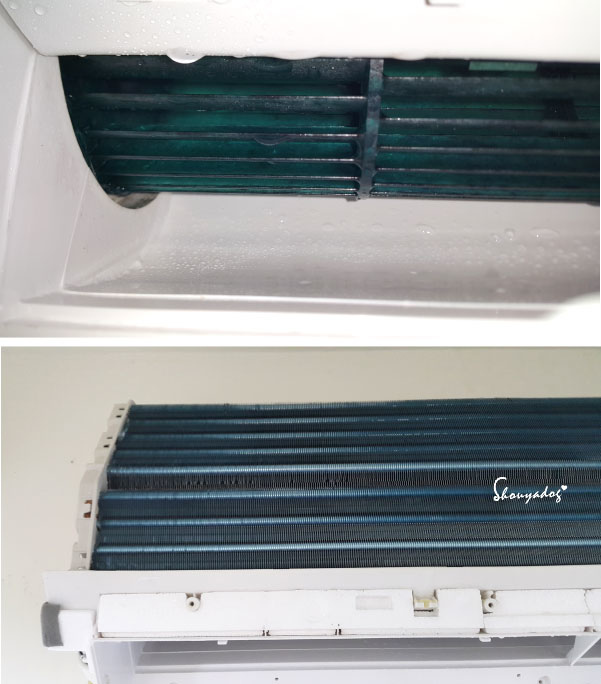 洗衣機清潔服務 推薦 BY Bloger shouyadog