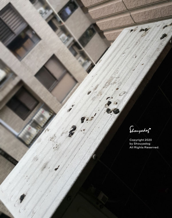 洗衣機清潔服務 推薦 BY Bloger shouyadog