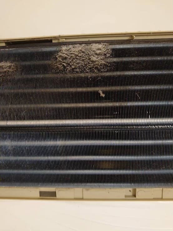 家裡有毛小孩，灰塵和毛髮總是跑進冷氣裡？透過永和冷氣清洗或永和洗冷氣專業服務，把累積的髒汙徹底清除。定期洗冷氣、做好冷氣清潔，不僅讓空氣更清新，也讓寵物安心呼吸，家裡涼爽又健康。