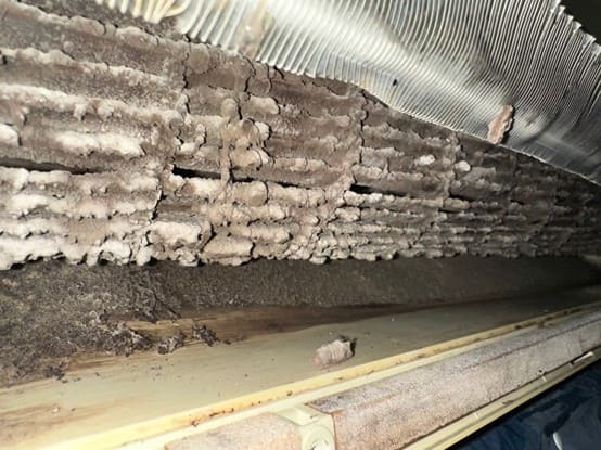 蘆洲洗冷氣價格最新優惠，住在蘆洲冷氣清洗時要更小心謹慎，避免內部零件損壞。蘆洲冷氣清洗服務首推洗洋洋，定期預約清潔可延長冷氣使用年限，夏季輕輕鬆鬆吹涼風！