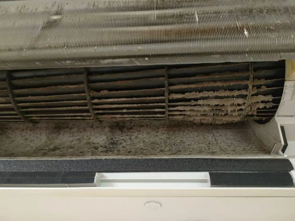 在台北使用冷氣一段時間後，定期冷氣清潔成為不少家庭的日常需求。透過台北冷氣清洗與台北分離式冷氣清洗的實際處理，能改善長時間使用後的狀況。整理台北洗冷氣時的清潔重點與收費方式，輕鬆讓冷氣維持良好的使用狀態！