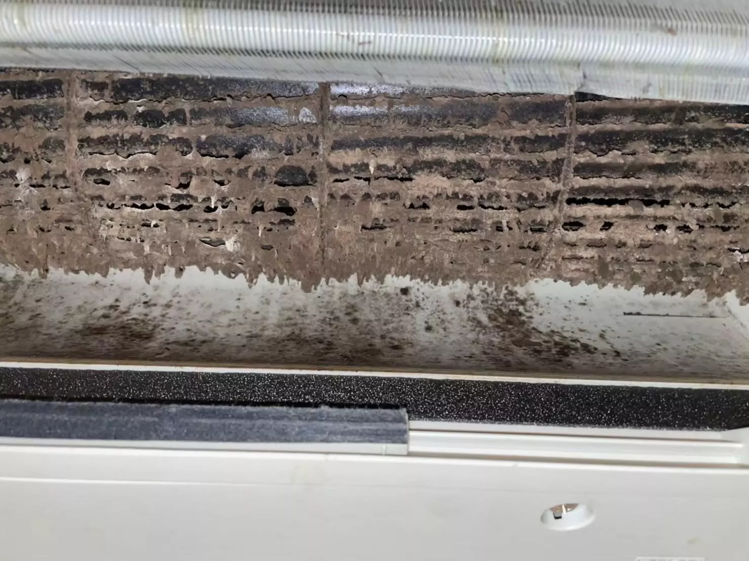 分離式冷氣清洗1