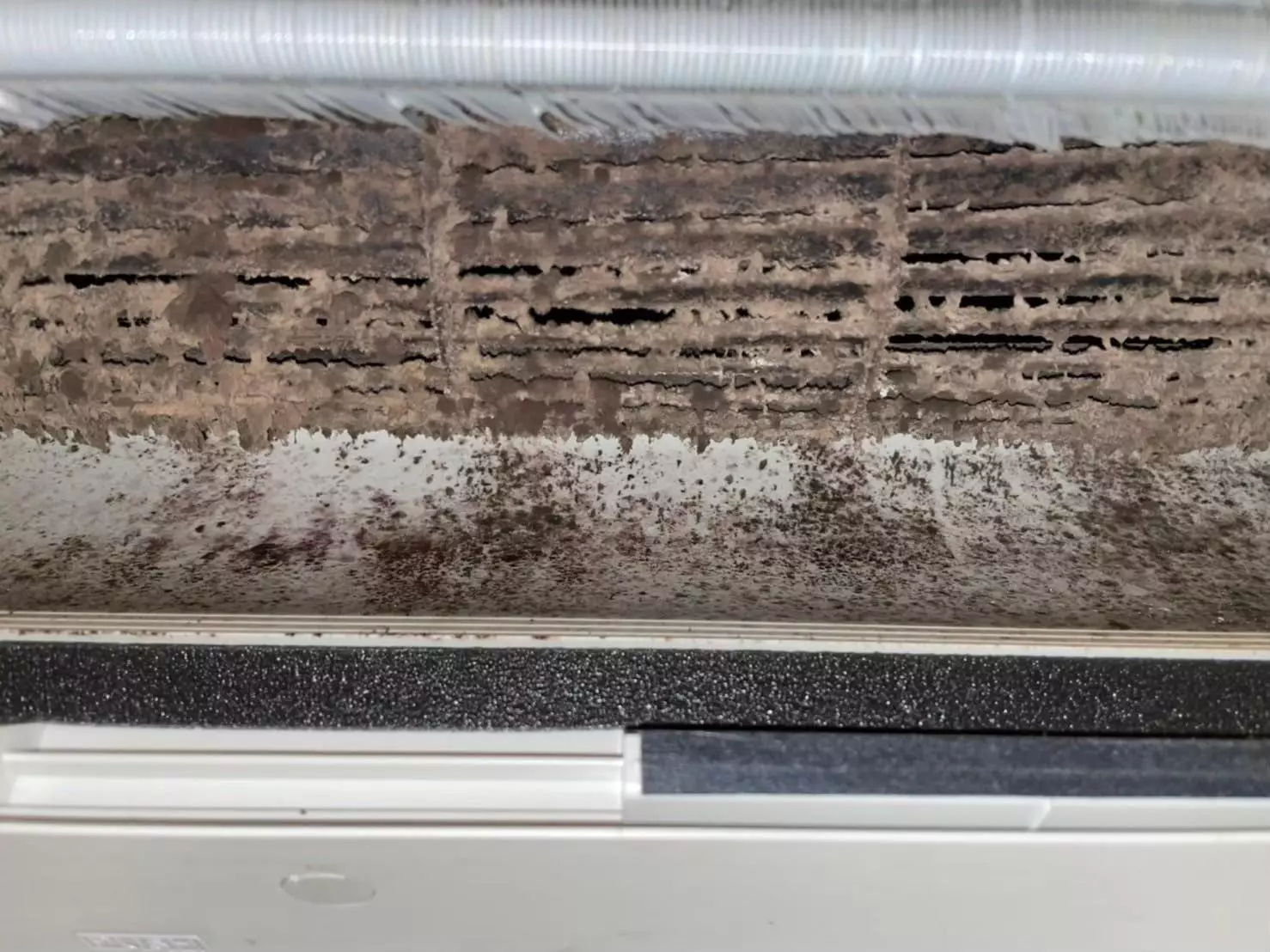 分離式冷氣清洗,分離式冷氣拆洗,分離式冷氣清潔