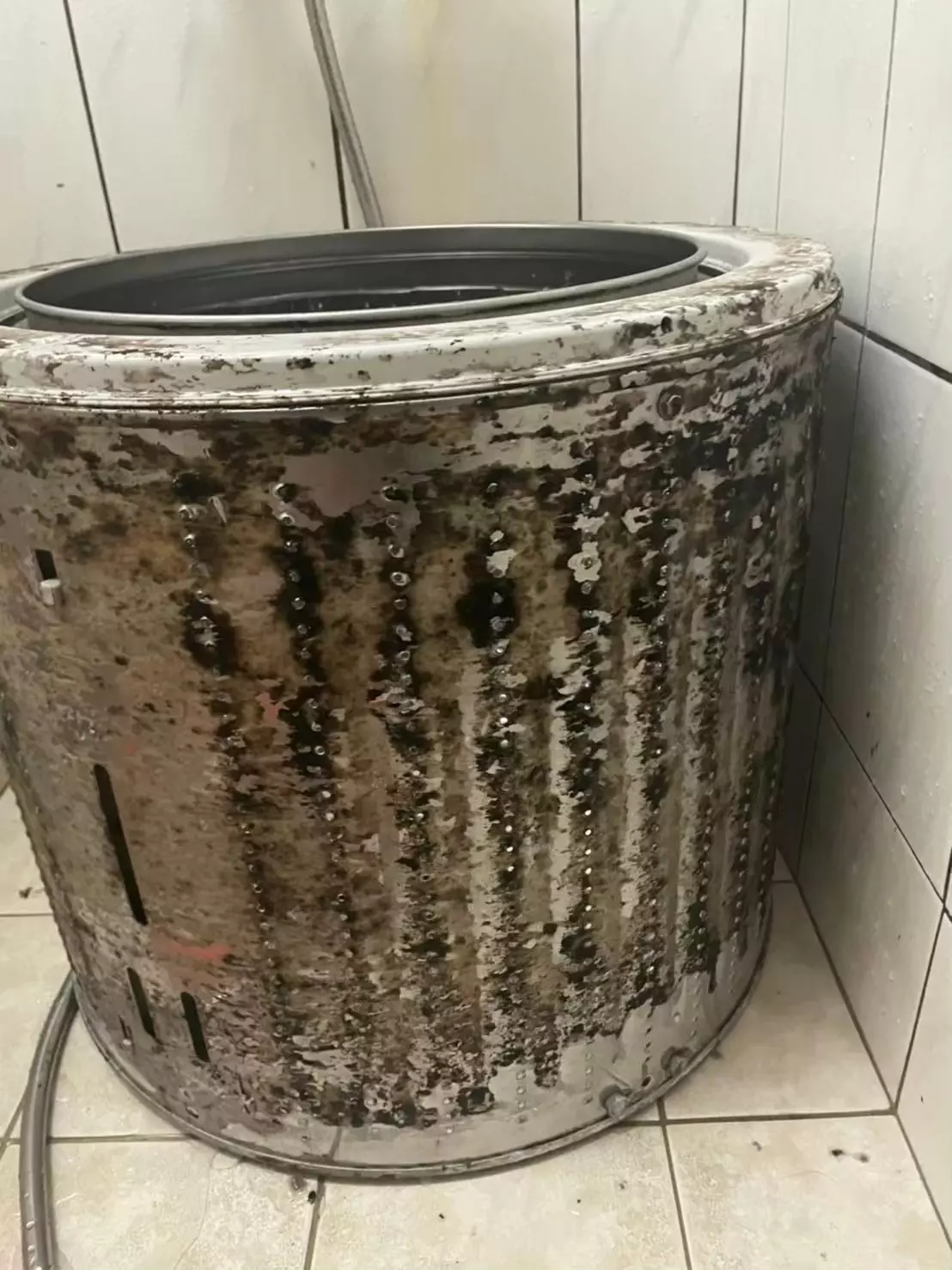 想找最專業又細心的洗衣機清潔服務嗎？台中洗衣機清洗推薦首選洗洋洋居家清潔，提供到府拆洗、消毒殺菌與完整保養流程，若想讓衣服真正乾淨無異味，台中洗衣機清洗推薦絕對不能錯過這家專業團隊。