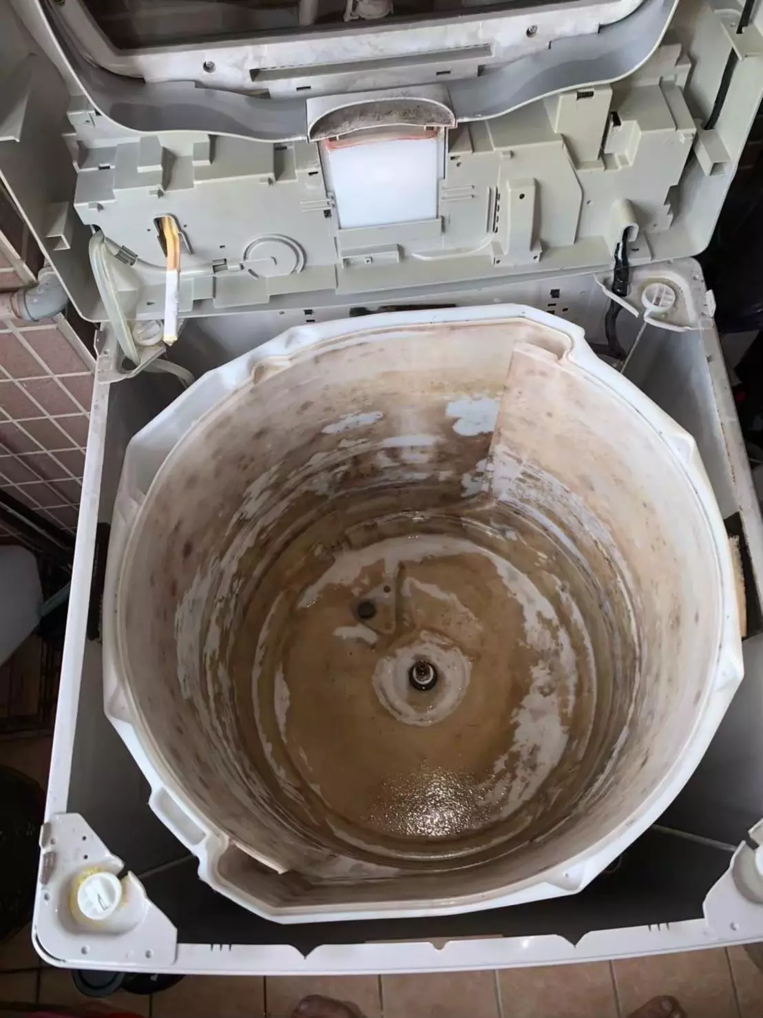 原來有那麼多的髒東西藏在洗衣機內，這些都是平時看不見的，所以必須要洗衣槽清洗和洗衣槽清潔。