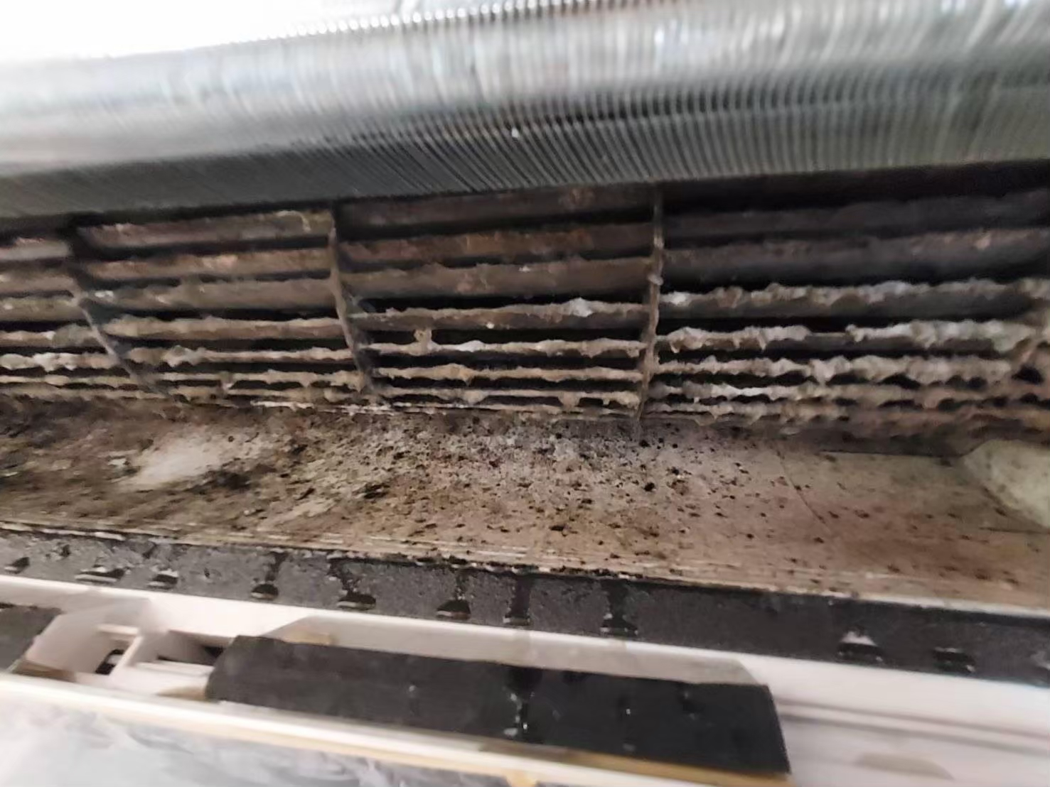 彰化洗冷氣相關問題有哪些？有些人可能沒有彰化清洗冷氣的概念，有些人可能對於彰化冷氣清洗商家不熟悉，以下是網友最常問的幾個疑問、彰化洗冷氣推薦，一次完整全解答！