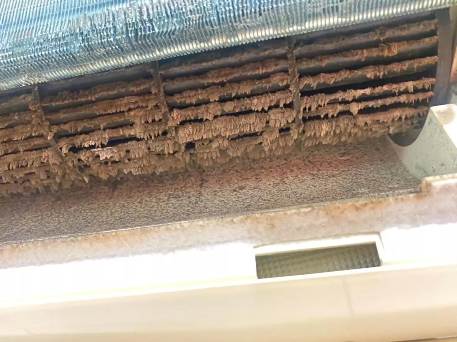 冷氣清洗是一項專業性較強的任務，並不是每位師傅都能提供高品質的服務。如果你正在尋找合適的冷氣清洗師傅，掌握一些挑選冷氣清洗師傅的技巧非常重要。