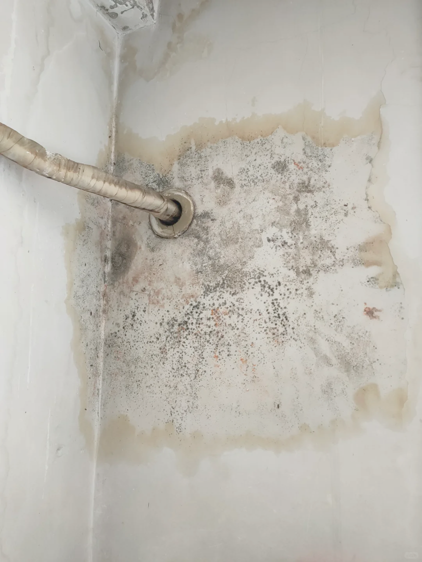 當冷氣運行一段時間後，房間彌漫著一股難以言喻的黴味、甚至牆壁上還出現斑駁的黴斑，很可能就是冷氣排水管發霉！面對冷氣排水管發霉應該如何處理？公開冷氣排水管清潔與疏通方法。