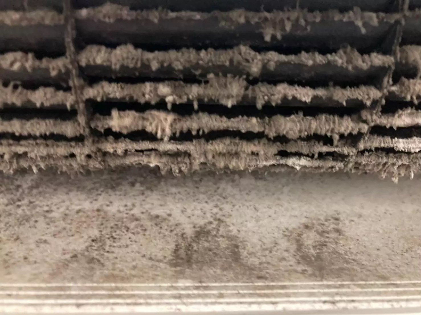 中正區冷氣清洗服務怎麼選？洗洋洋居家清潔提供高效且專業的服務，中正區洗冷氣的最佳選擇，換季也不怕冷氣吹出髒空氣，省電又可以好好保護呼吸道健康，解答中正區洗冷氣必知4大疑問。