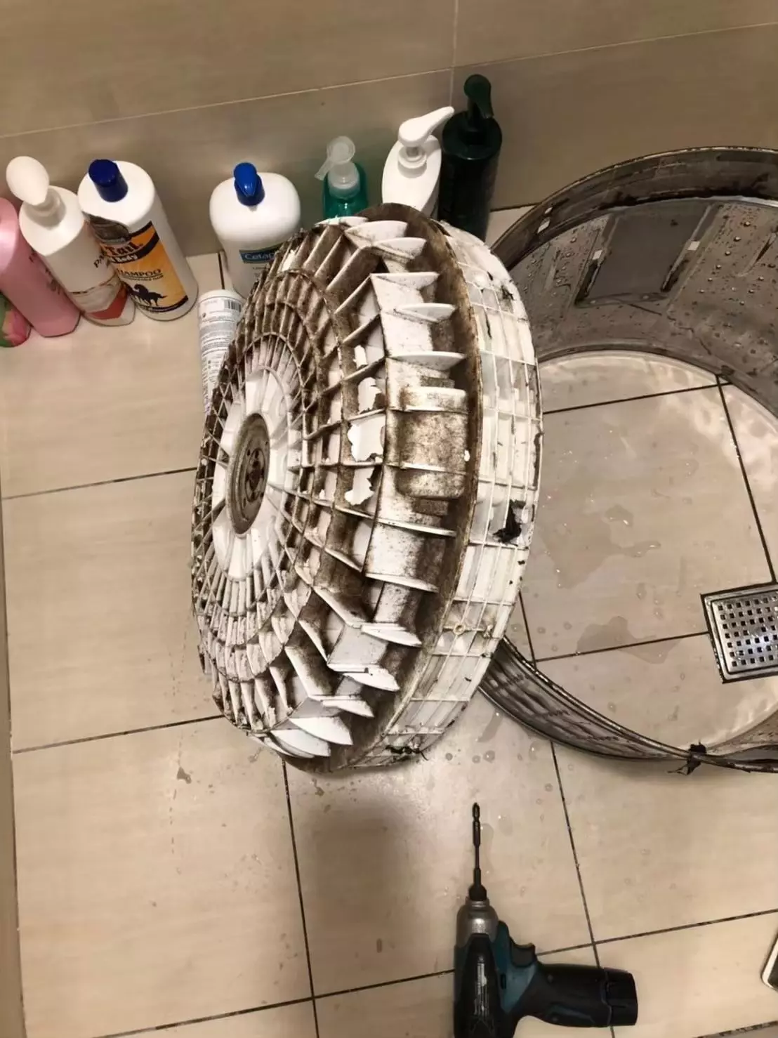 自己清洗雖然可以定期除臭、去水垢，但很多藏在外槽裡的頑固污垢根本動不了。而專業清洗會直接把機器拆開，從裡到外全面大掃除，把看不見的細菌、霉菌一網打盡，衣服才能真正洗得乾淨、沒異味！