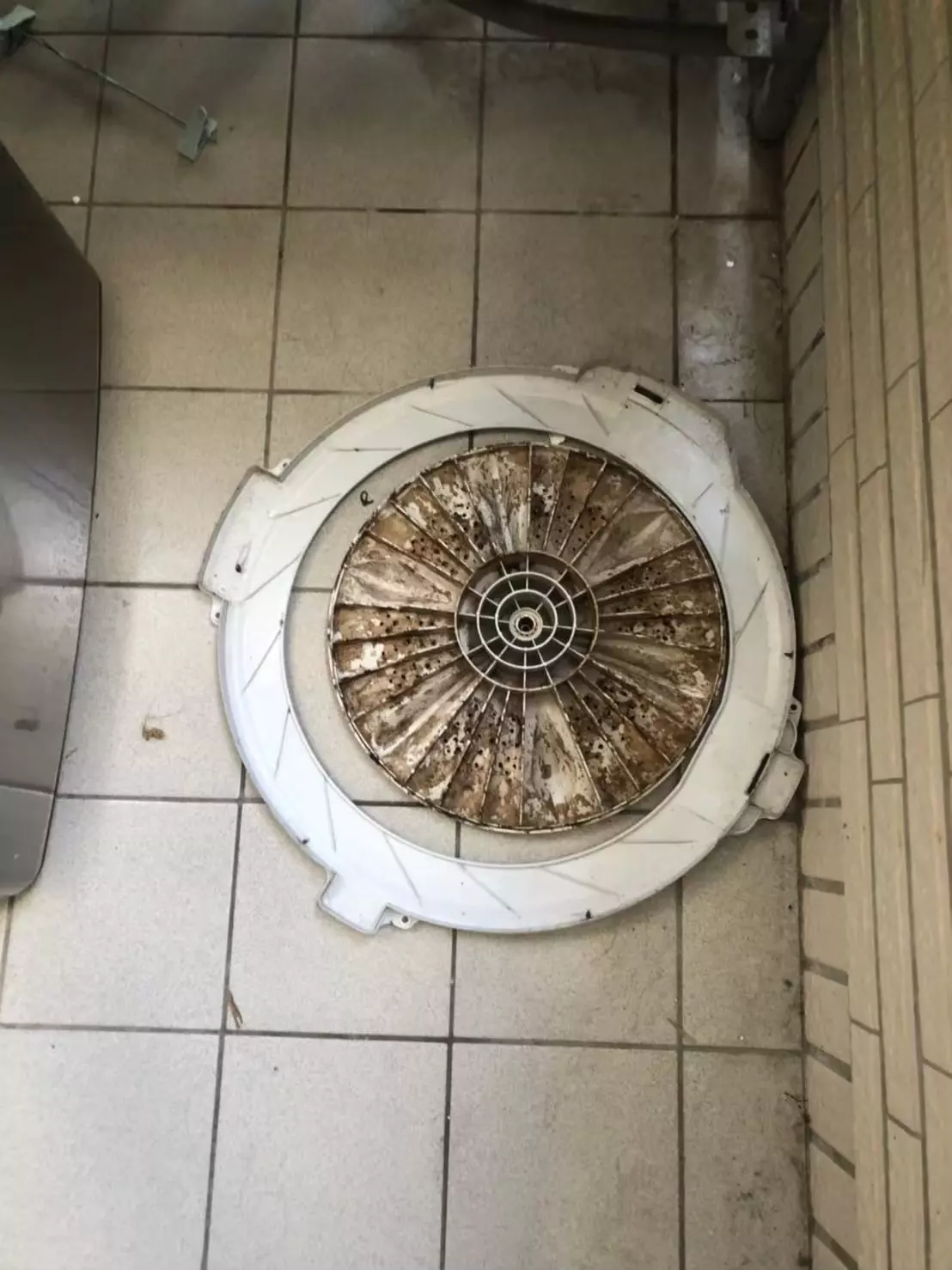 洗衣槽清潔劑該怎麼選？本文就來推薦3款桶槽清潔劑，能深入洗衣槽縫隙，有效去除污垢和霉菌，推薦大家使用方便，無需關機或浸泡，適合各種洗衣機類型，選對洗衣桶槽清潔劑，讓衣物更潔淨！