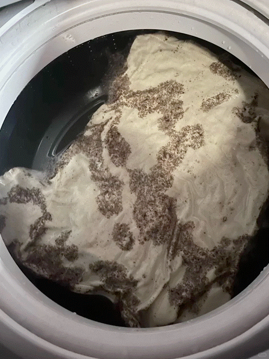 洗衣機保養你有按時做嗎？很多人都不知道正確清潔洗衣機方法，也沒有養成清洗洗衣機的習慣，如果想省時又省力，其實找專業的洗衣機清洗服務就可以解決這個家事小麻煩。