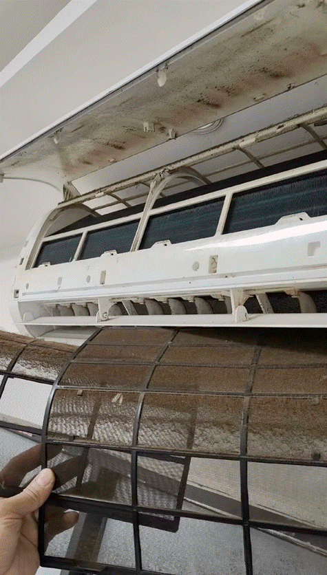 聲寶冷氣清洗的優點有哪些？冷氣太久沒有清洗就會有很多問題產生，譬如滴水、電費增加、有異味等等，但你有想過你家的聲寶冷氣清潔要找誰嗎？預約洗洋洋居家清潔，有口碑又洗得好，聲寶冷氣濾網清洗沒煩惱！